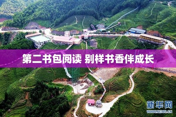第二书包阅读 别样书香伴成长