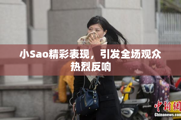 小Sao精彩表现，引发全场观众热烈反响