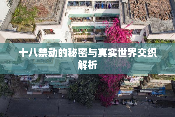 十八禁动的秘密与真实世界交织解析