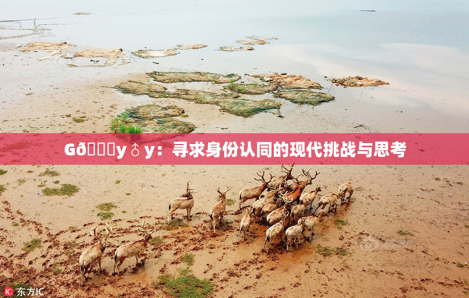 G🈚y♂y：寻求身份认同的现代挑战与思考