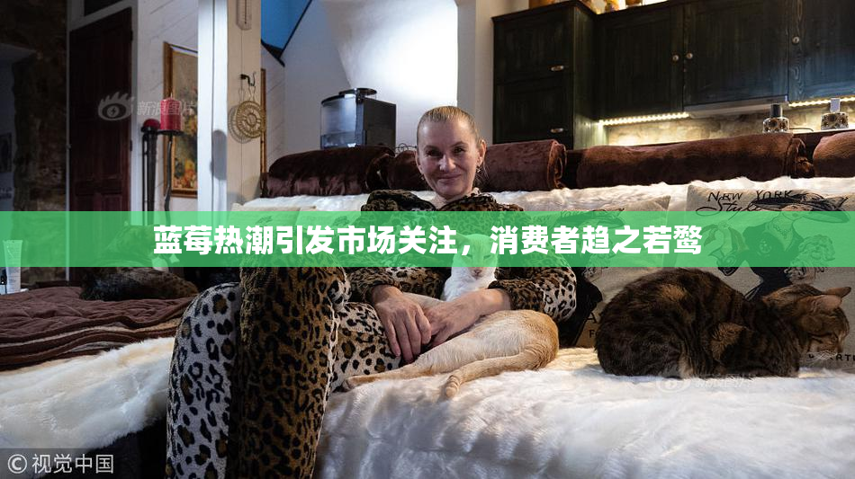 蓝莓热潮引发市场关注，消费者趋之若鹜