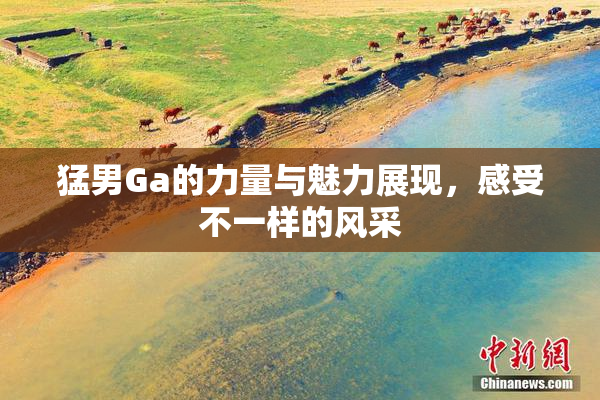 猛男Ga的力量与魅力展现，感受不一样的风采