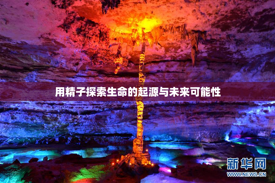 用精子探索生命的起源与未来可能性