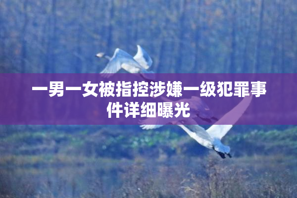 一男一女被指控涉嫌一级犯罪事件详细曝光