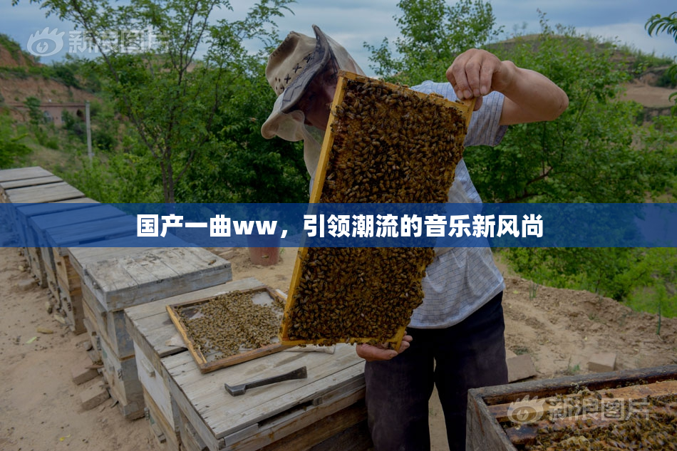 国产一曲ww，引领潮流的音乐新风尚