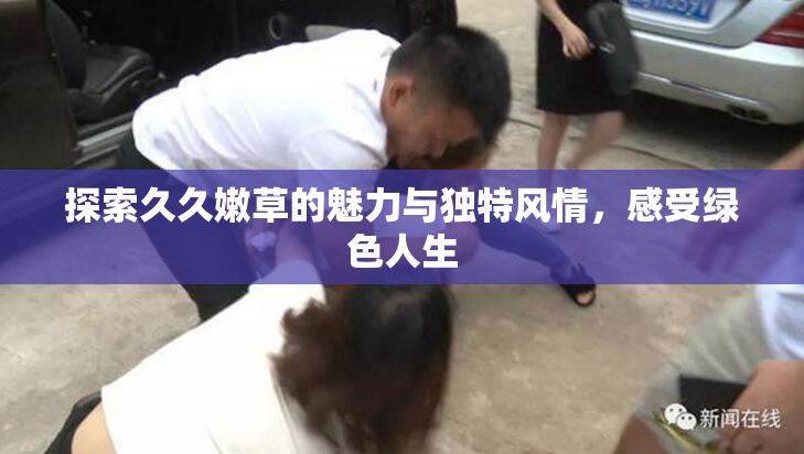 探索久久嫩草的魅力与独特风情，感受绿色人生
