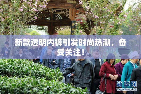 新款透明内裤引发时尚热潮，备受关注！