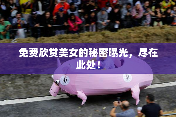 免费欣赏美女的秘密曝光，尽在此处！