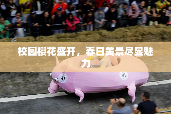 校园樱花盛开，春日美景尽显魅力