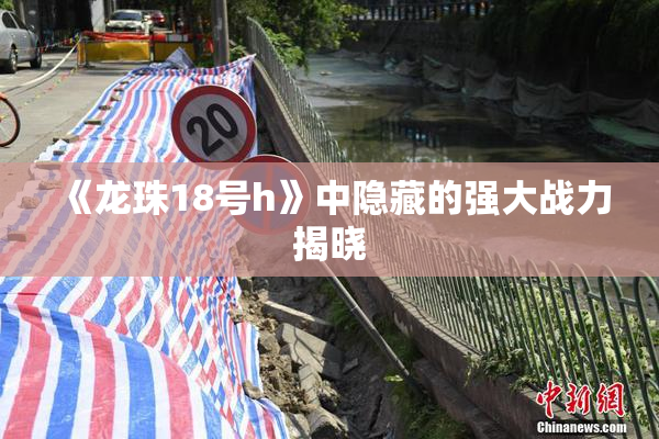《龙珠18号h》中隐藏的强大战力揭晓