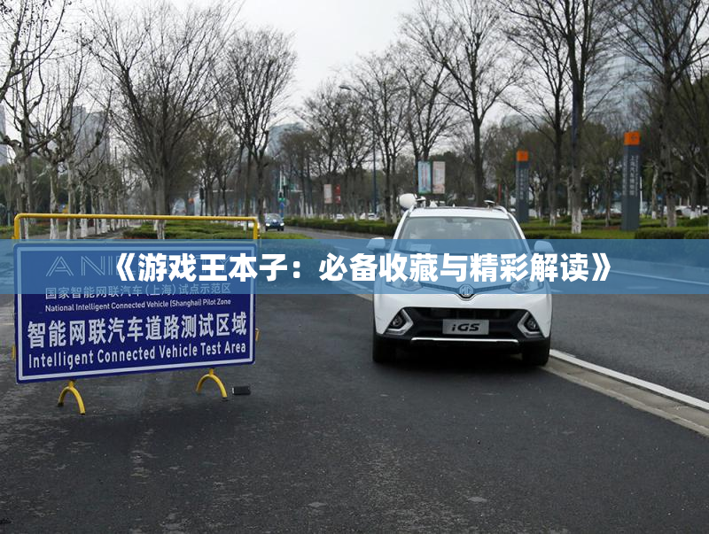 《游戏王本子：必备收藏与精彩解读》