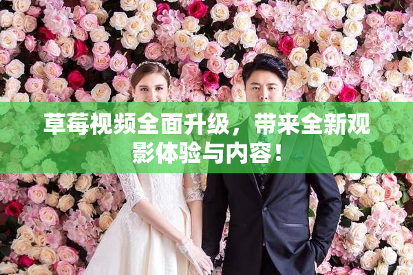 草莓视频全面升级，带来全新观影体验与内容！