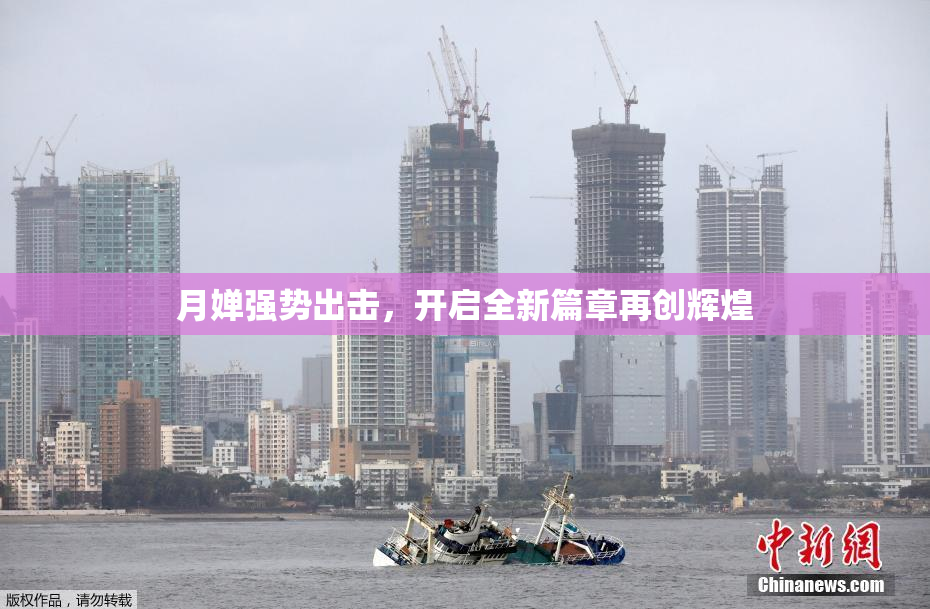 月婵强势出击，开启全新篇章再创辉煌