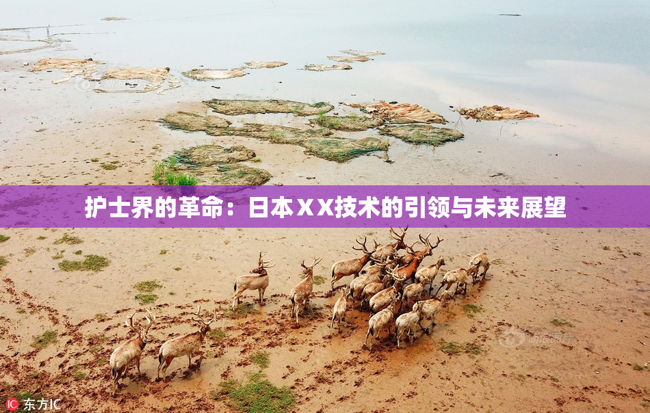 护士界的革命：日本ⅩX技术的引领与未来展望