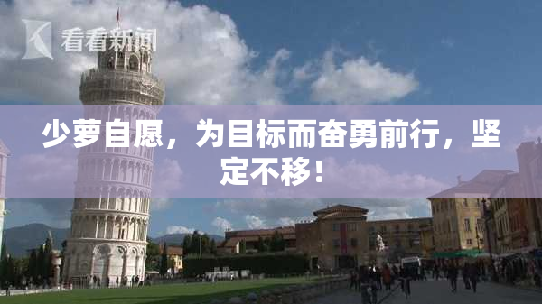 少萝自愿，为目标而奋勇前行，坚定不移！
