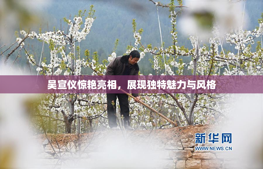 吴宣仪惊艳亮相，展现独特魅力与风格