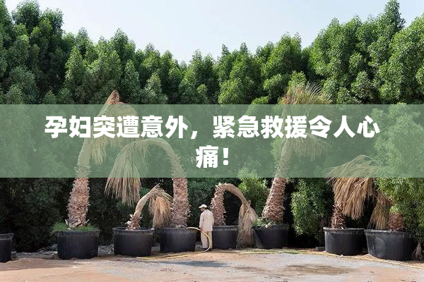 孕妇突遭意外，紧急救援令人心痛！