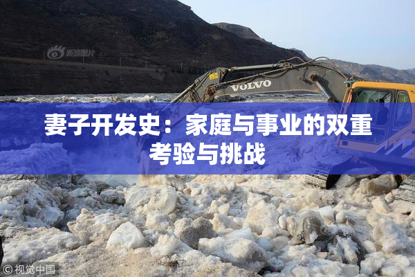 妻子开发史：家庭与事业的双重考验与挑战