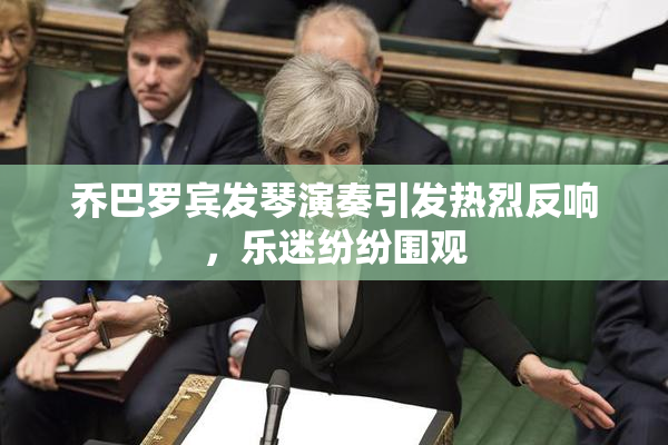 乔巴罗宾发琴演奏引发热烈反响，乐迷纷纷围观