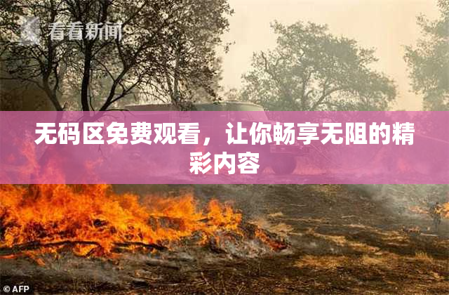 无码区免费观看，让你畅享无阻的精彩内容