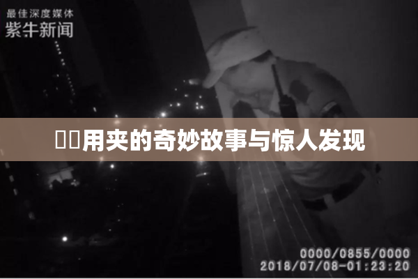 妺妺用夹的奇妙故事与惊人发现