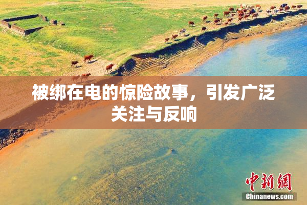被绑在电的惊险故事，引发广泛关注与反响