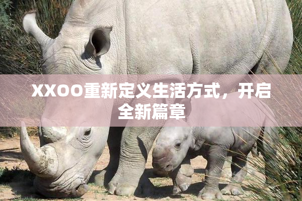 XXOO重新定义生活方式，开启全新篇章