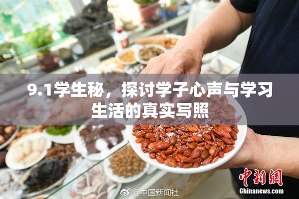 9.1学生秘，探讨学子心声与学习生活的真实写照