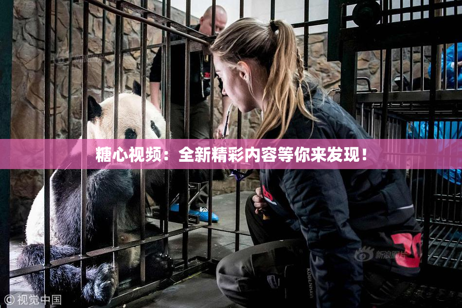 糖心视频：全新精彩内容等你来发现！