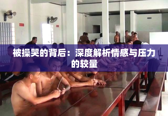 被操哭的背后：深度解析情感与压力的较量