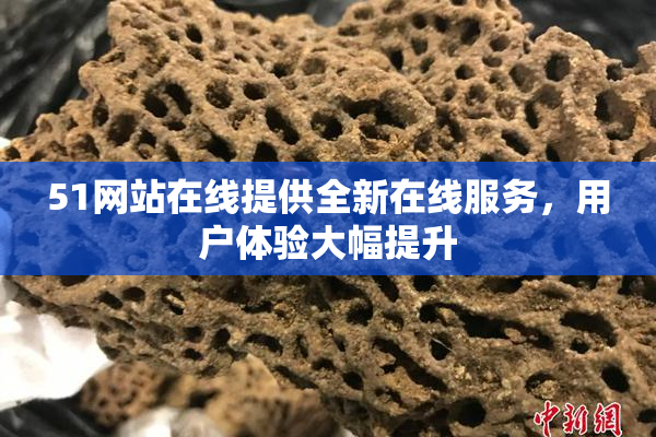 51网站在线提供全新在线服务，用户体验大幅提升