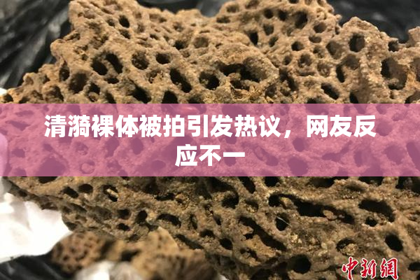 清漪裸体被拍引发热议，网友反应不一