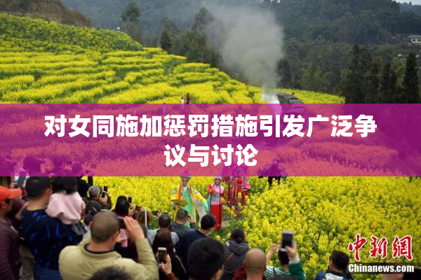 对女同施加惩罚措施引发广泛争议与讨论
