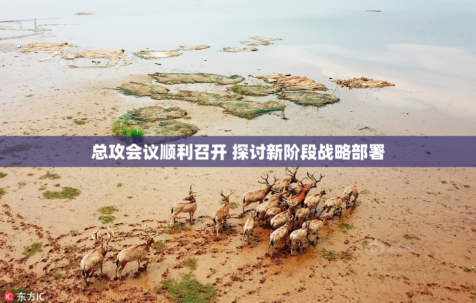 总攻会议顺利召开 探讨新阶段战略部署