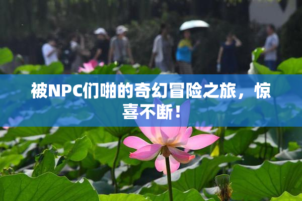 被NPC们啪的奇幻冒险之旅，惊喜不断！