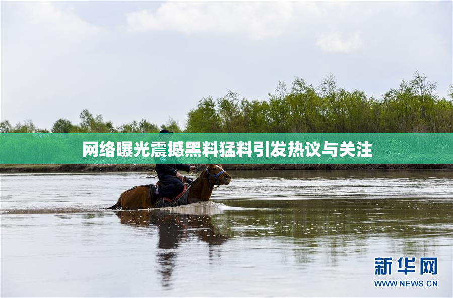 网络曝光震撼黑料猛料引发热议与关注