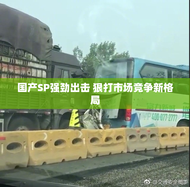 国产SP强劲出击 狠打市场竞争新格局