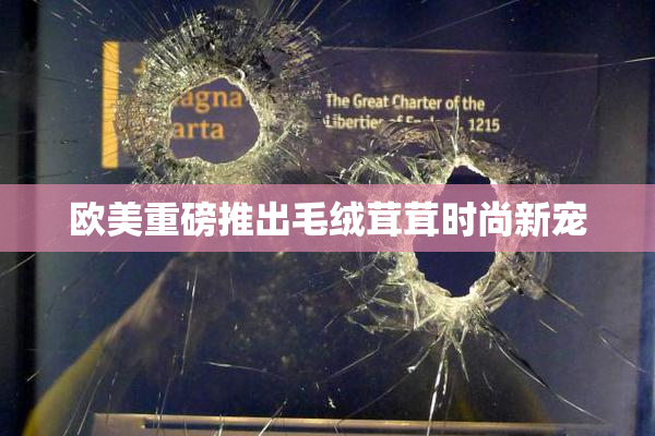 欧美重磅推出毛绒茸茸时尚新宠