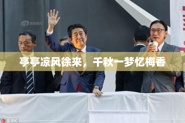 亭亭凉风徐来，千秋一梦忆梅香