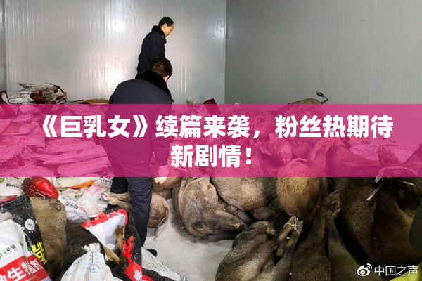 《巨乳女》续篇来袭，粉丝热期待新剧情！