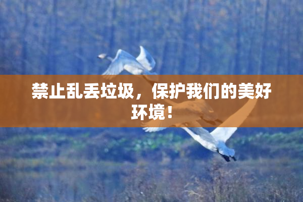 禁止乱丢垃圾，保护我们的美好环境！