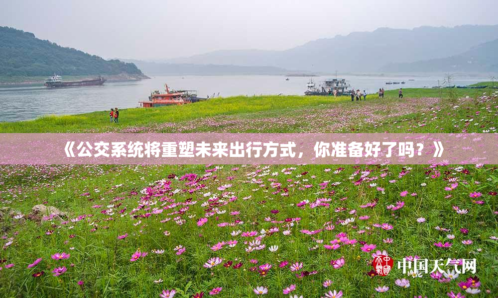 《公交系统将重塑未来出行方式，你准备好了吗？》