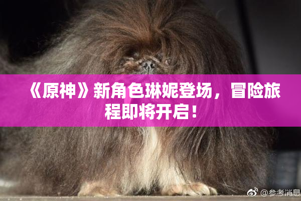 《原神》新角色琳妮登场，冒险旅程即将开启！