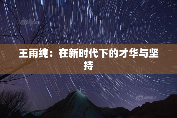 王雨纯：在新时代下的才华与坚持