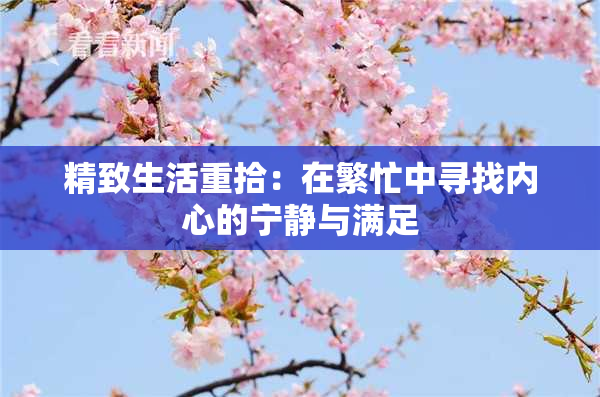 精致生活重拾：在繁忙中寻找内心的宁静与满足