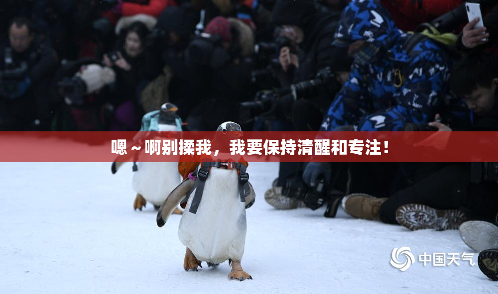 嗯～啊别揉我，我要保持清醒和专注！