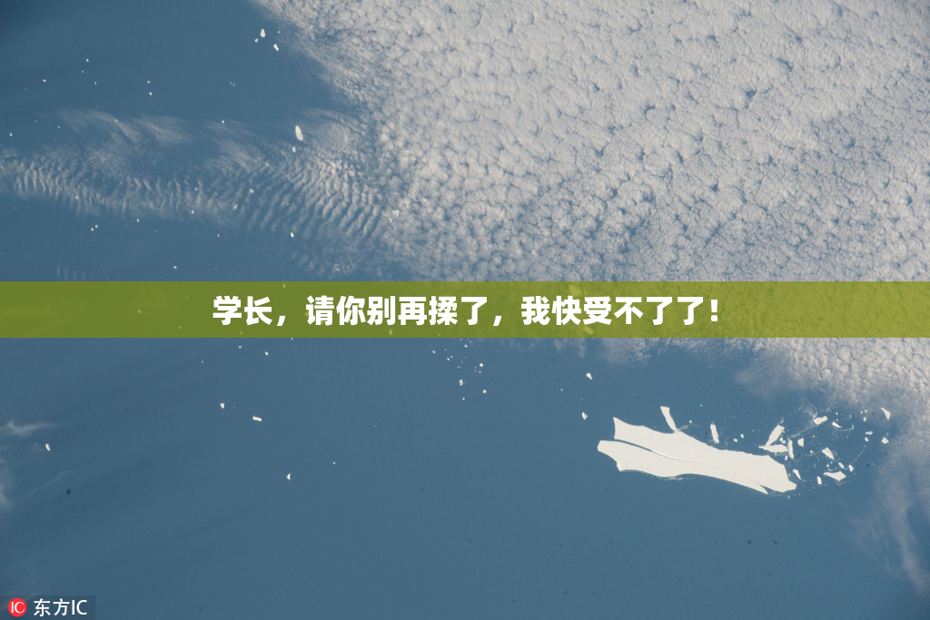 学长，请你别再揉了，我快受不了了！