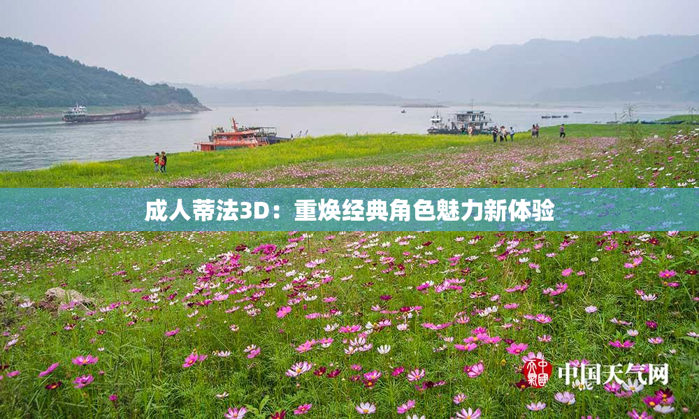 成人蒂法3D：重焕经典角色魅力新体验