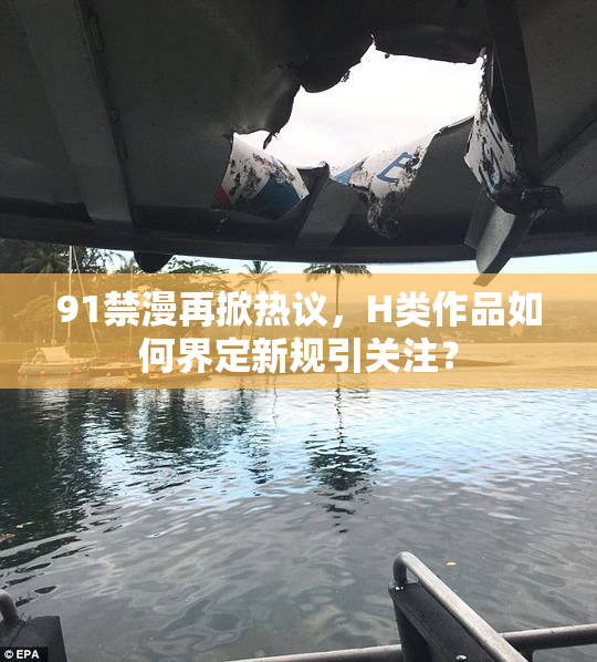 91禁漫再掀热议，H类作品如何界定新规引关注？