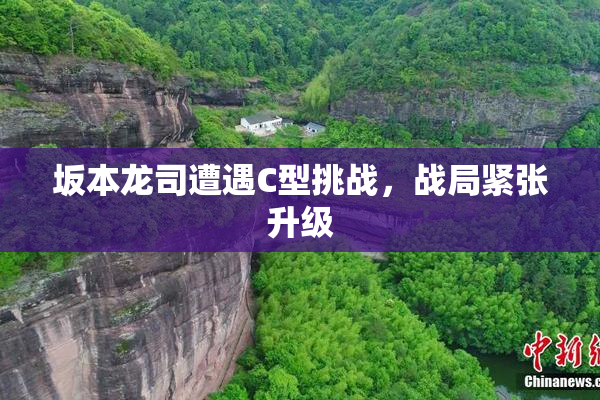坂本龙司遭遇C型挑战，战局紧张升级